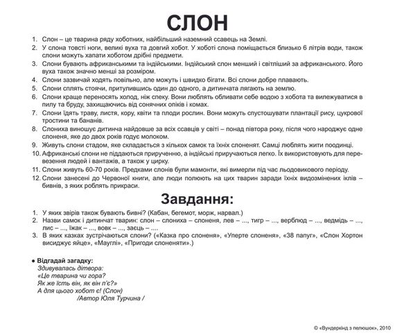 Набор карточек Домана - Дикие животные. На украинском. Без ламинации. | Зображення 1