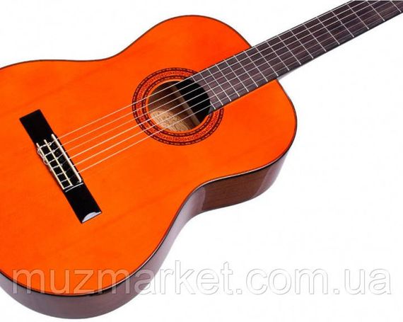Гітара класична Washburn C5 | Зображення 2