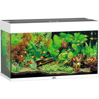 Аквариум Juwel Rio 125 LED белый (4022573014501) - Топ Продаж!
