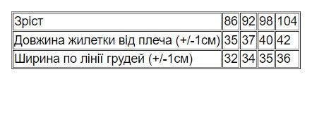 Жилетка для хлопчика (демісезон) Носи своє 86 Блакитний (p-9662-102612) | Зображення 3