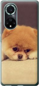 Чехол на Huawei Nova 9 Pro Boo 2 "890u-2503-17620"