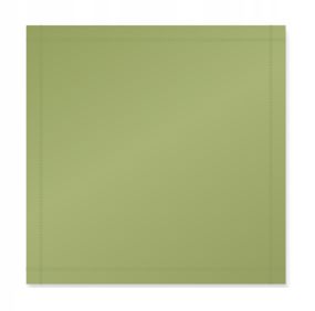 Туристичний тент Mountain Goat 300 x 300 см бівачний, водонепроникний Olive (P-5905973406376)