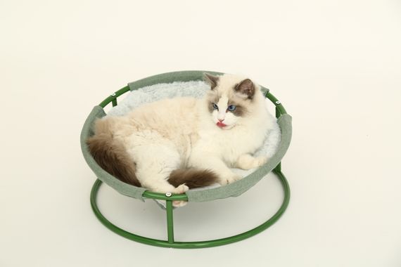 Складаний лежак для домашніх тварин MISOKO Pet bed round plush, 45x45x22 cm, light green | Зображення 4