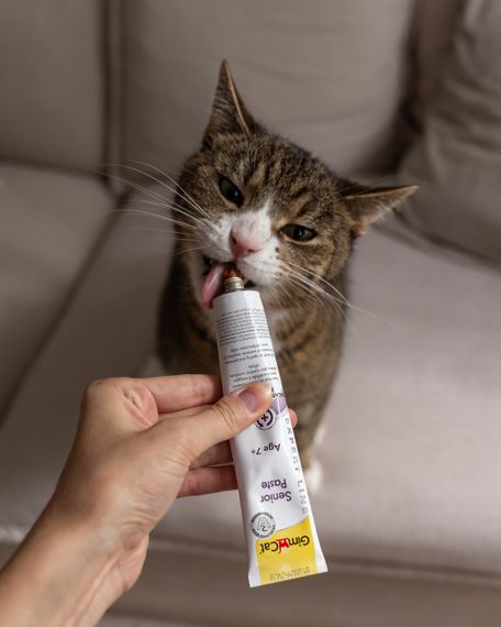 Мультивитаминная паста для укрепления здоровья стареющих кошек GimCat Senior Paste, 50 гр | Зображення 3