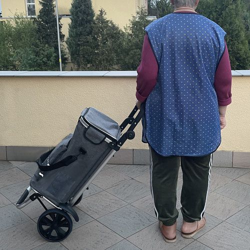 Складаний транспортний візок 30 кг Malatec 23187 Польща | Зображення 3