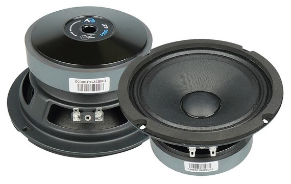 Естрадна акустика AudioBeat Forte FM65