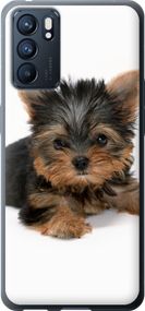 Чехол на Oppo Reno6 5G Щенок йоркширского терьера "931u-2651-17620"