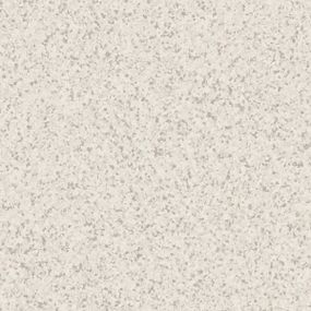 Гомогенний лінолеум Tarkett Primo Premium 675  ширина 2 м