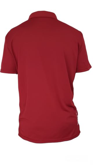 Футболка ПОЛО с коротким рукавом з принтом Born In Ukraine (Кулмакс) бордо 5XL (58)