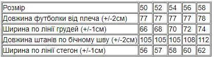 Комплект чоловічий (футболка+брюки) Носи своє 56 Сірий (p-6604-108965) | Зображення 3