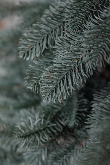 Лита штучна ялинка 1,8 м блакитна Карпатська Преміум KOS-KARPBL18 | Зображення 7