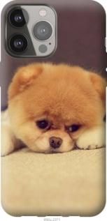 Чохол для Apple iPhone 13 Pro Max з пластику FCh_037149