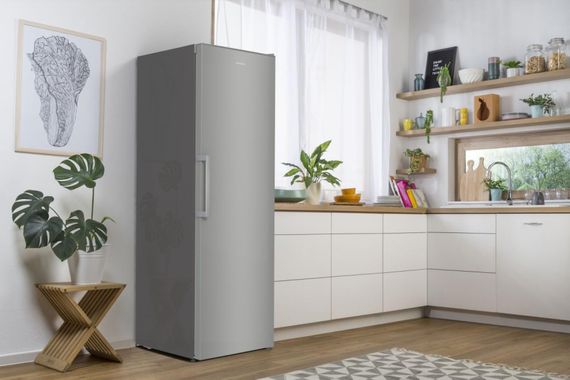 Холодильна камера Gorenje R619EES5 | Зображення 1
