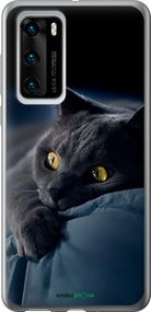 Чохол на Huawei P40 Димчастий кіт "825u-1840-2448"