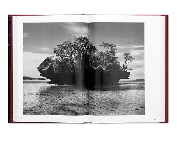 Подарункові книги для фотографів Sebastiao Salgado. Genesis альбоми відомих фотографів Себастьян Сальгадо | Зображення 1