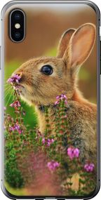 Чехол на iPhone XS Кролик и цветы "3019u-1583-17620"