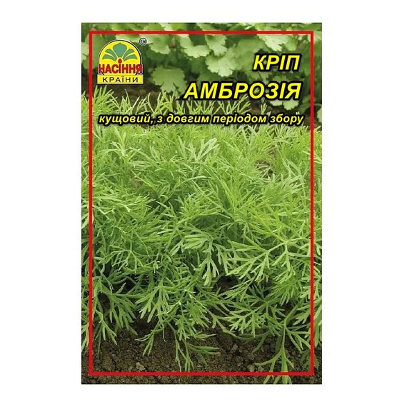 Насіння Кропу Амброзія 3 г (Насіння країни)