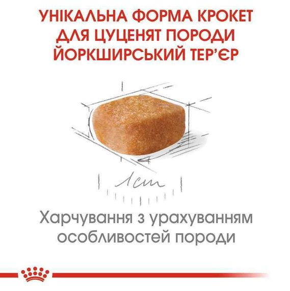 Сухой корм Royal Canin Yorkshire Terrier Puppy для щенков породы йоркширский терьер в возрасте от 2 до 10 месяцев 0,5 кг | Зображення 4