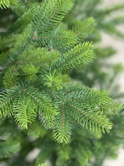 Искусственная литая ёлка Forest Maxi 2 м с металлической подставкой | Пышная новогодняя ёлка премиум-класса | Зображення 1