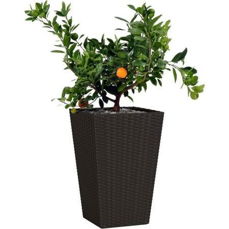 Горщик для квітів (кашпо) Keter (Кетер) Rattan Style Planter M (17192301) Антрацит | Зображення 1