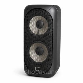 Колонка с встроенным микрофоном для выступлений, Хорошая bluetooth колонка, Караоке система для дома FN-83