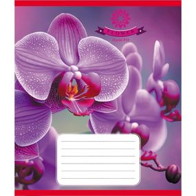 Тетрадь ученическая "Орхидея" 036-570137K-3 в клеточку, 36 листов