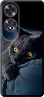 Чохол на Oppo A60 4G Димчастий кіт "825b-3702-2448"