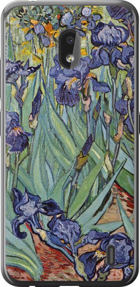 Чехол на Nokia 2.2 Винсент Ван Гог. Ирисы "161u-1706-17620"