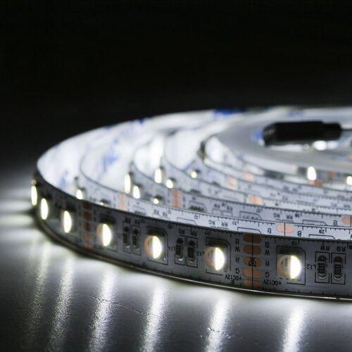 Світлодіодна стрічка BIOM Professional BPS-G3-12-5050-60-RGBW-20, негерметична, 1м | Зображення 2