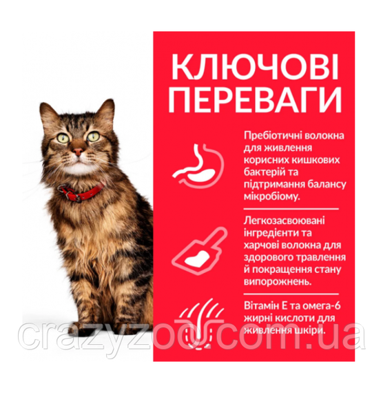 Сухий корм для котів Hill's Sensitive Stomach & Skin Chicken з куркою 300 г 604074 | Зображення 1