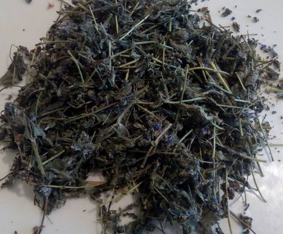 Вероніка лікарська (трава), 100г.