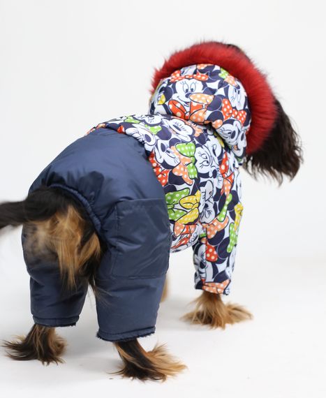 Зимовий комбінезон на хутрі Міккі AM-25 | Зображення 1