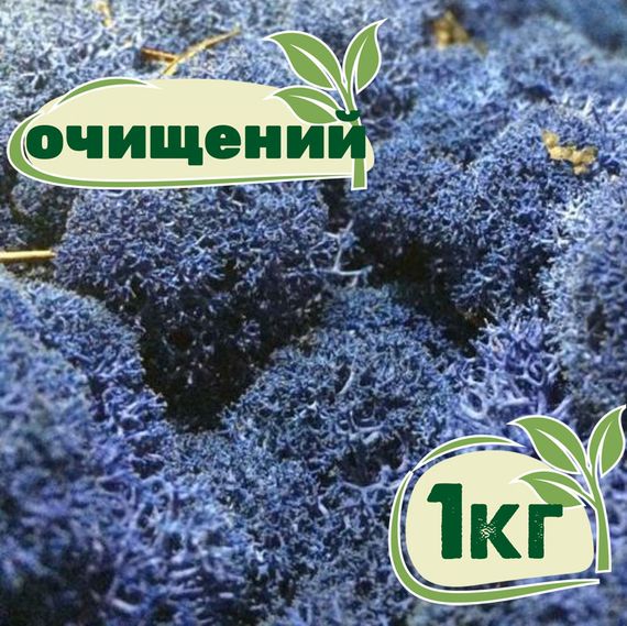 Очищенный стабилизированный мох ягель Nordic moss Синий лазурный 1 кг