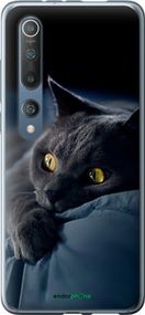 Чохол на Xiaomi Mi 10 Pro Димчастий кіт "825t-1870-2448"