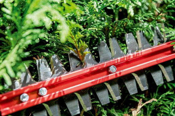 Кущоріз акумуляторний Metabo HS 18 LTX BL 65см 18V каркас 601723850 | Зображення 1