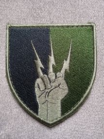 Шеврон 76 окремий полк зв'язку і управління (зелений)