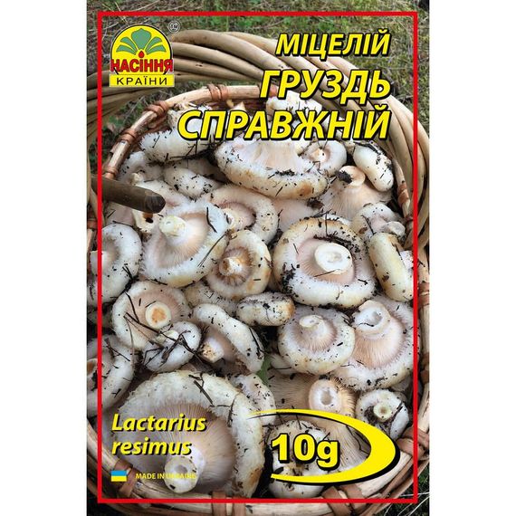 Груздь 10 г