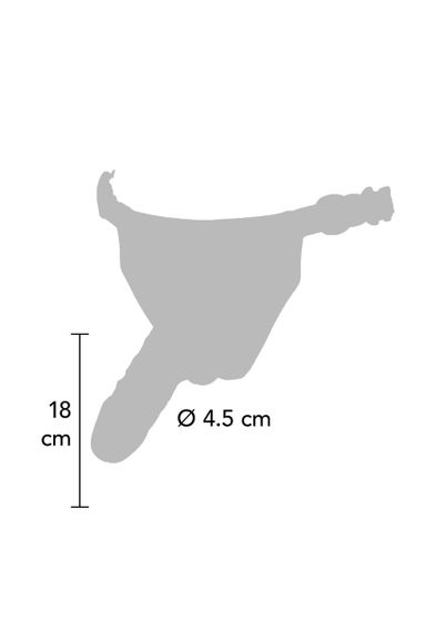 Страпон реалистичный ToyJoy Superwoman на черных трусиках sexstyle | Зображення 1