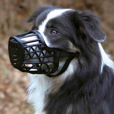 Намордник для собак Trixie пластиковый для бернского зенненхунда XL 35 см (4011905176079) | Зображення 1