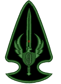 Шеврон Батальйон фенікс 9 рота