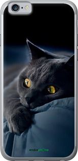 Чохол на iPhone 6s Димчастий кіт "825t-90-2448"