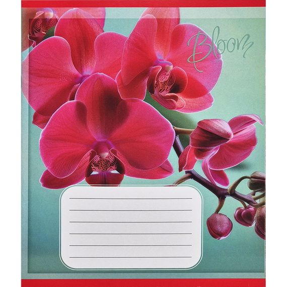 Зошит учнівський "Орхідеї" 018-530261K-5 в клітинку, 18 аркушів