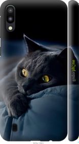 Чохол на Samsung Galaxy M10 Димчастий кіт "825m-1661-2448"