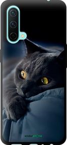 Чохол на OnePlus Nord CE Димчастий кіт "825b-2382-2448"
