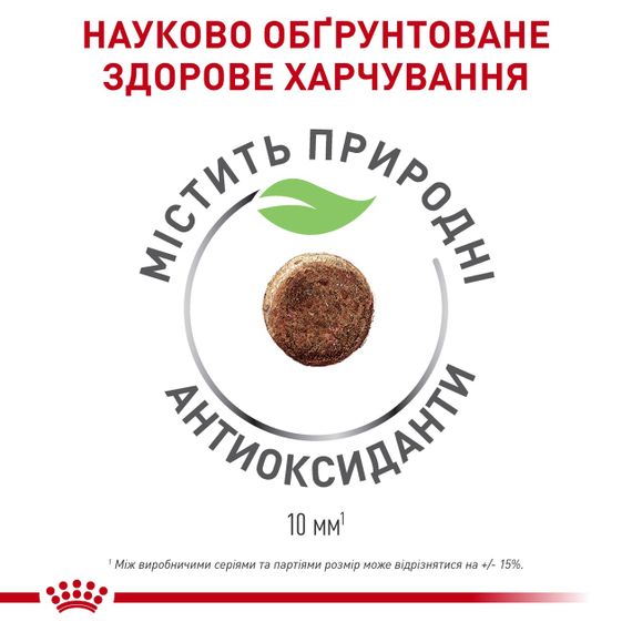 Сухий корм для вагітних кішок Royal Canin Queen, 4 кг | Зображення 2