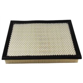 Воздушный фильтр для автомобиля Champion CAF100666P