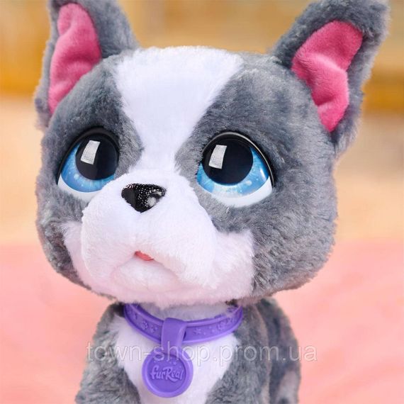 Интерактивная игрушка Furreal серии Walk-a-Lots – Французский бульдог | Зображення 2