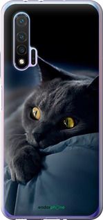 Чохол на Huawei Nova 6 Димчастий кіт "825u-1821-2448"