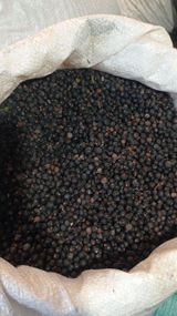 Ялівець (ягода сира), 1кг.