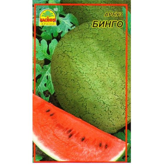 Насіння кавуна Бінго 1 г (Насіння країни)